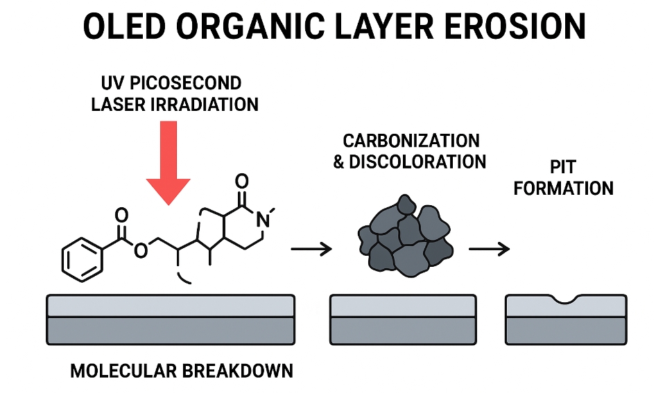 1757346892472950.png 微信截圖_20250908235430.png